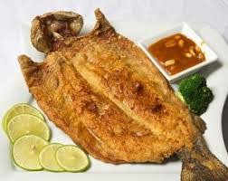 خوراک ماهی قزل آلا سرخ شده 